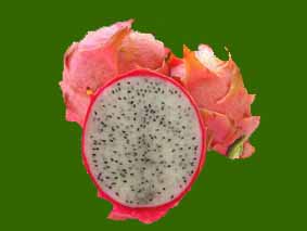 Pitaya : Hylocereus H. costaricensis (Pitaya ou fruit du dragon) Pot de 2  litres ? 40/60cm Couleur floraison jaune Taille Pot de 4 litres – 40/60 cm